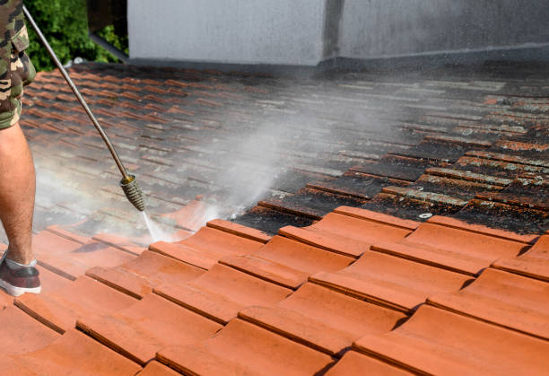 Best Commercial Building Pressure Washing  in Dalton, GA