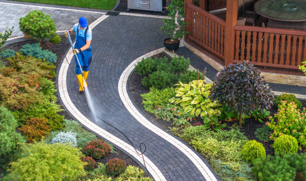 Best Pressure Washing Siding  in Dalton, GA
