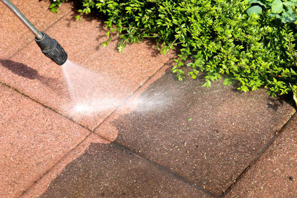 Best Residential Pressure Washing Services  in Dalton, GA